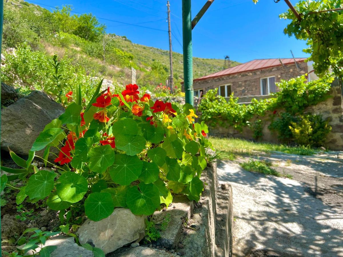 Igor Bed And Breakfast Halidzor Buitenkant foto