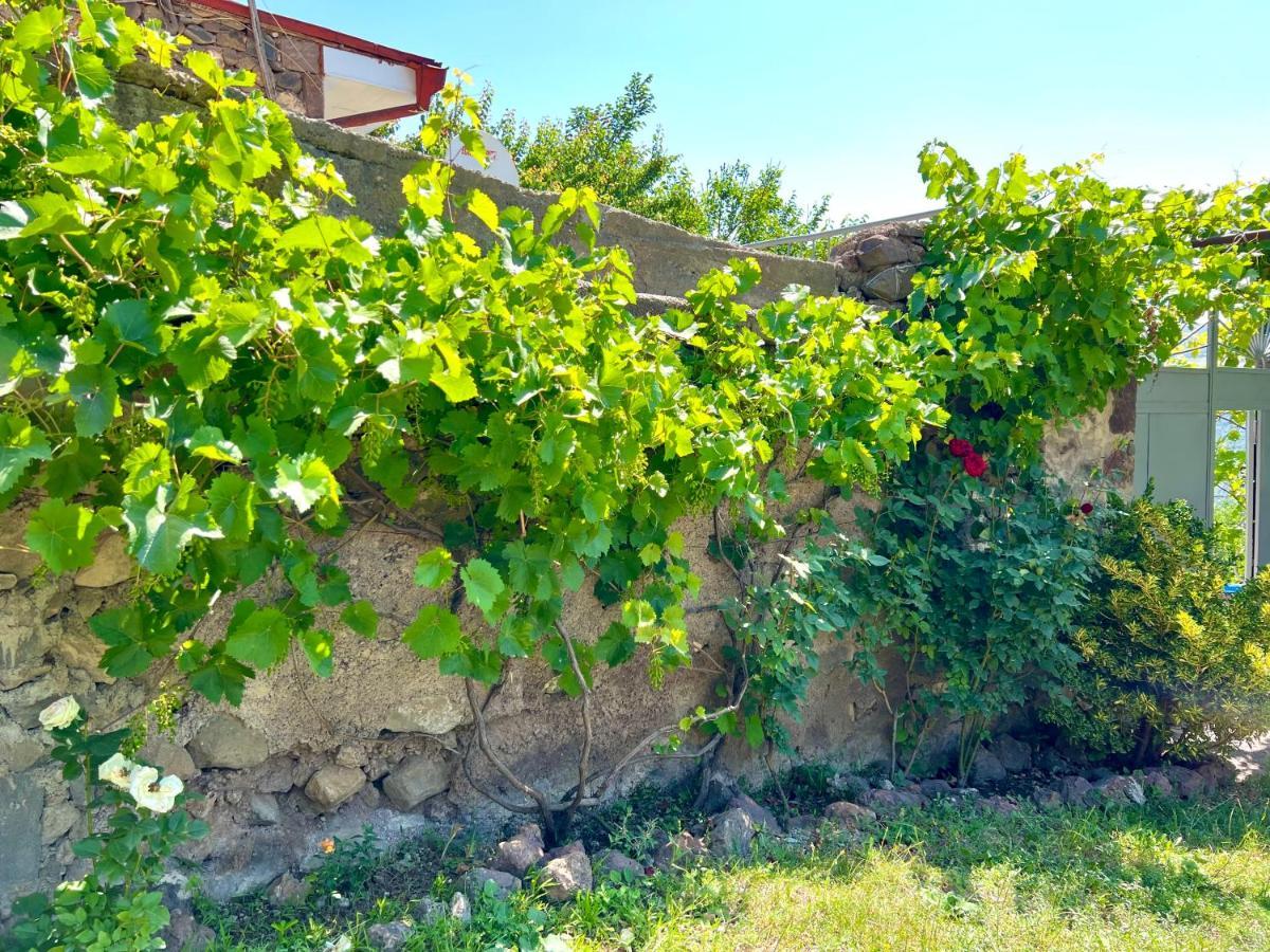 Igor Bed And Breakfast Halidzor Buitenkant foto
