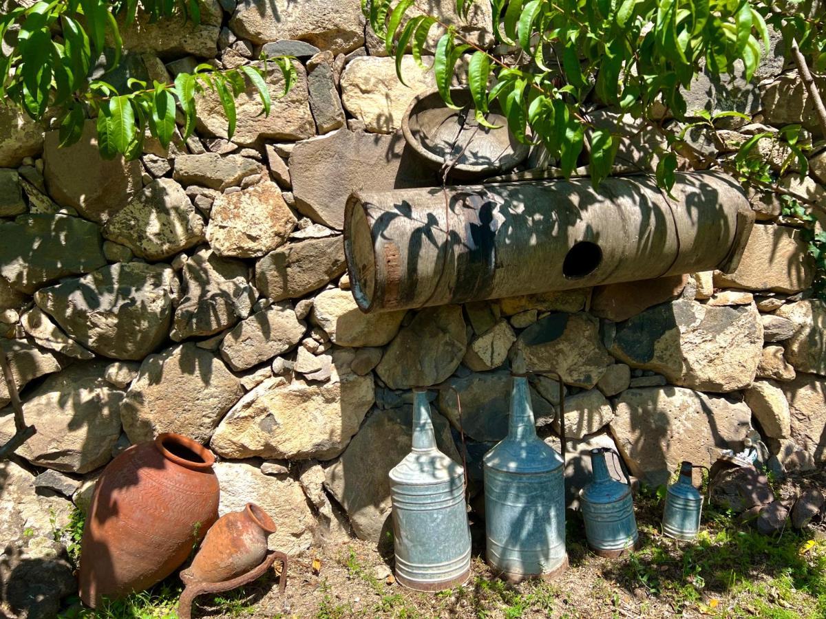 Igor Bed And Breakfast Halidzor Buitenkant foto