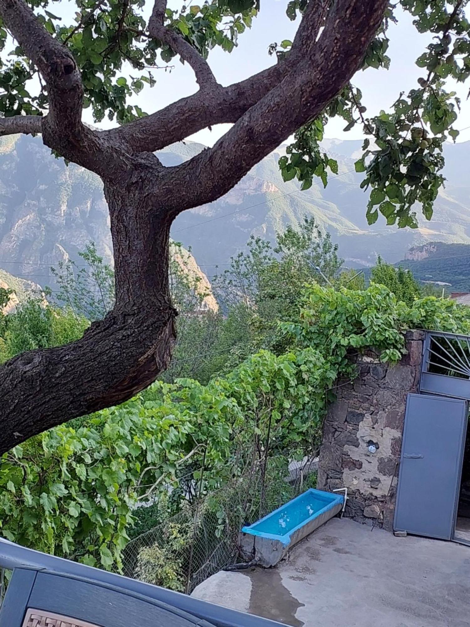 Igor Bed And Breakfast Halidzor Buitenkant foto