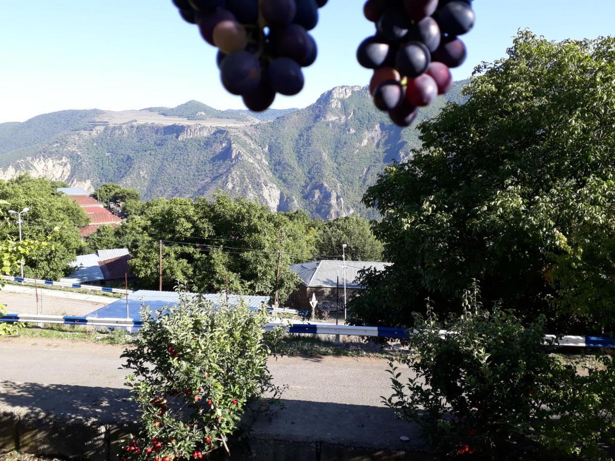 Igor Bed And Breakfast Halidzor Buitenkant foto